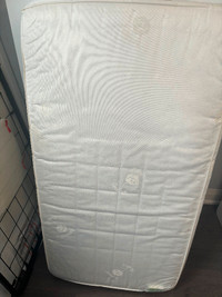 Sealy crib mattress