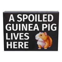Wanted: Male Guinea Pig