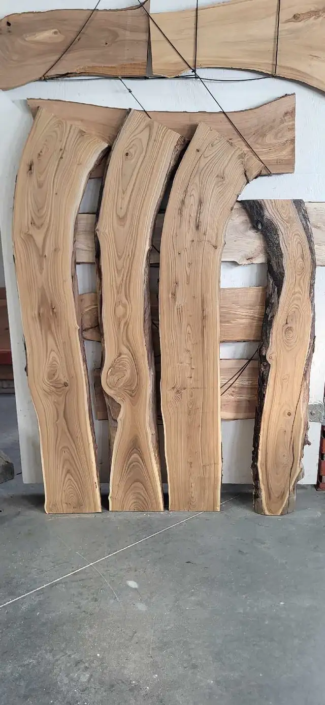 Live edge Russian olive in Other in Winnipeg - Image 3