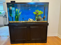 90 Gallon Aquarium with Stand and Extras