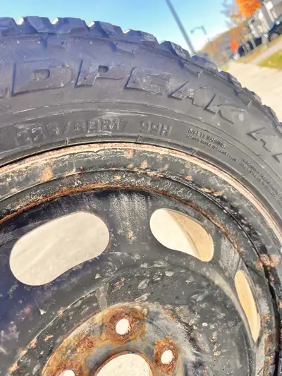 Tires on rims. Tires are in good shape.