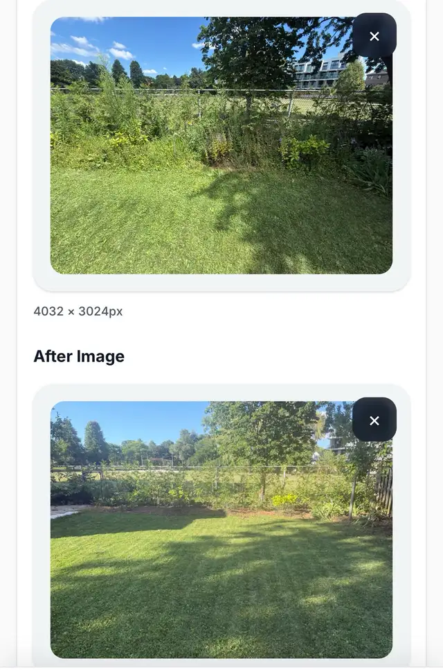 Weed removal, Yard Clean Ups, Tree Cut, Mulching, and Pruning in Snow Removal & Property Maintenance in City of Toronto - Image 5
