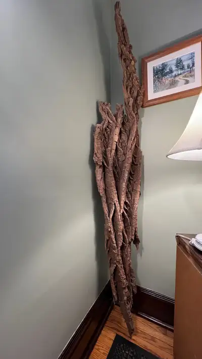 Wall wood decor live tree bark, View more