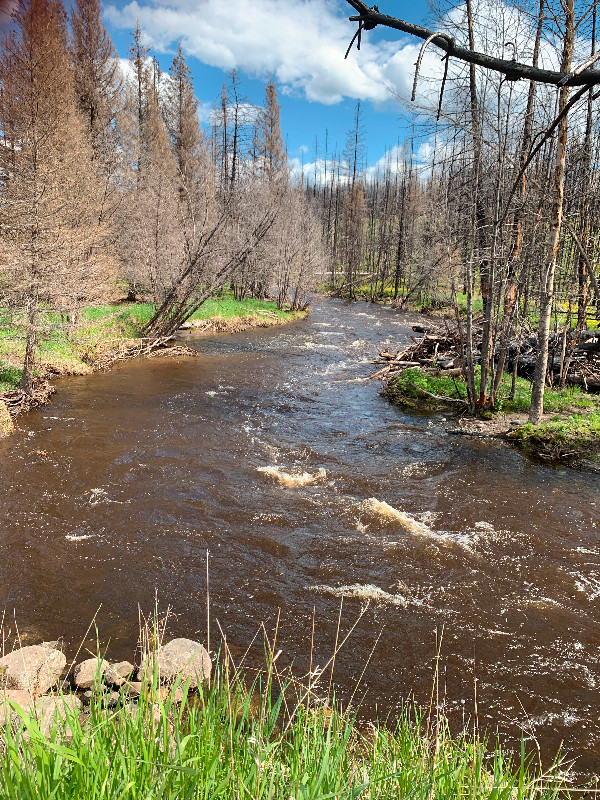 160 ACRES FOR SALE KAMLOOPS! Land for Sale Kamloops Kijiji