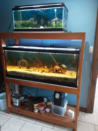 75 gallon aquarium and stand