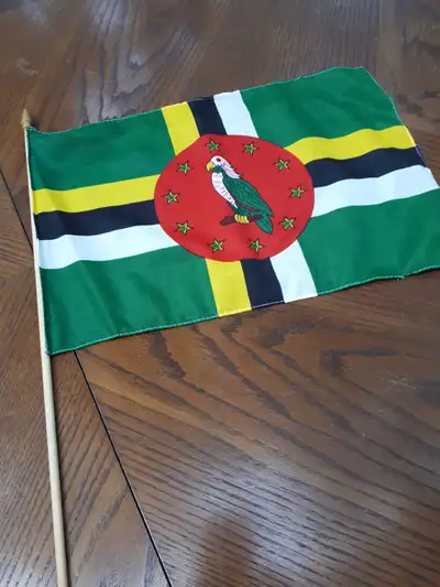 12 x 18 in. Polyester flag on a stick. New Iron on Patches $4. each 2 x 3 ft. Flag $10.