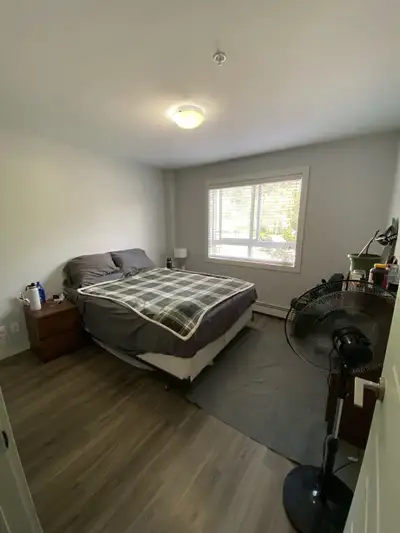 Room for rent $1250