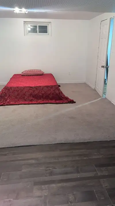 rooms for rent near Algonquin college