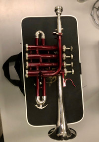 Piccolo trumpet. Off brand but works and looks good