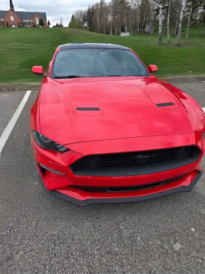 2019 Ford Mustang EcoBoost - 2nd owner and like new condition. $27,000 OBO car has never given me an...