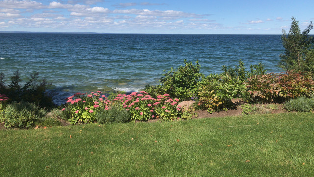 Fall Yard Cleanup in Lawnmowers & Leaf Blowers in Kawartha Lakes