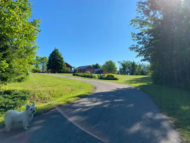 One Bedroom, All Utilities Incl, Stanley Bridge Area in Long Term Rentals in Charlottetown - Image 8