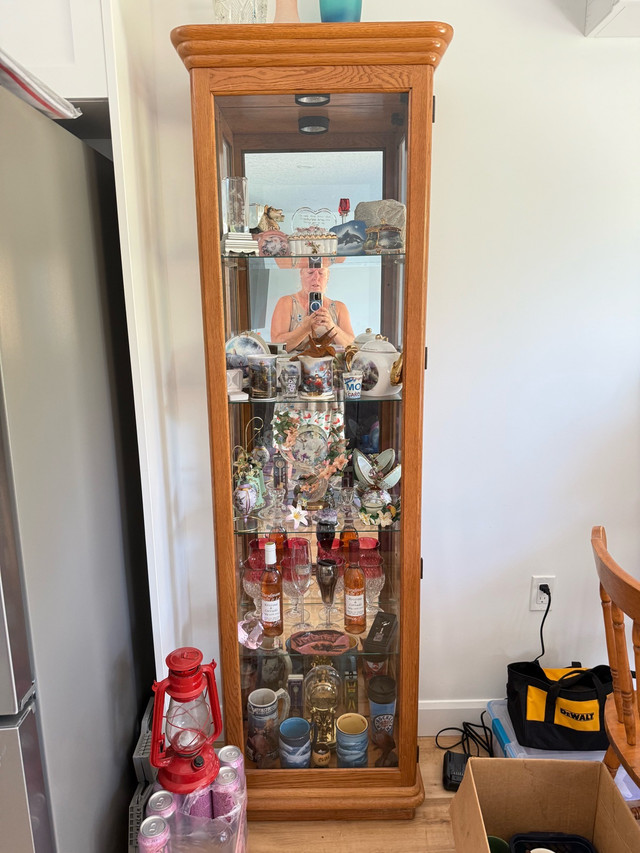 Curio cabinet in Hutches & Display Cabinets in Stratford