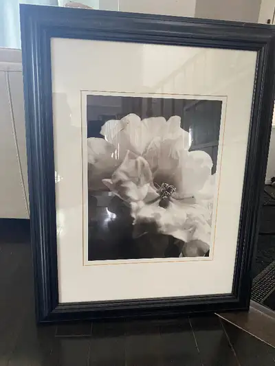 Wall decor, wooden frame with glass, excellent condition, View more