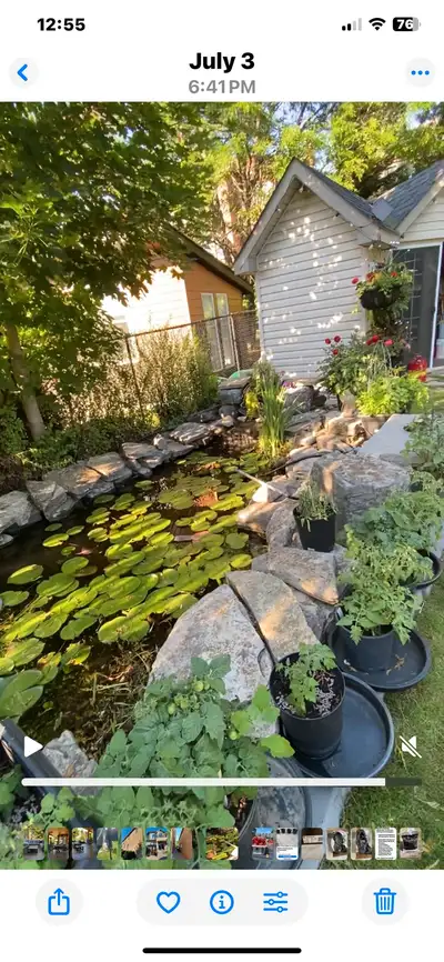 Looking to re-homing your fish, View more