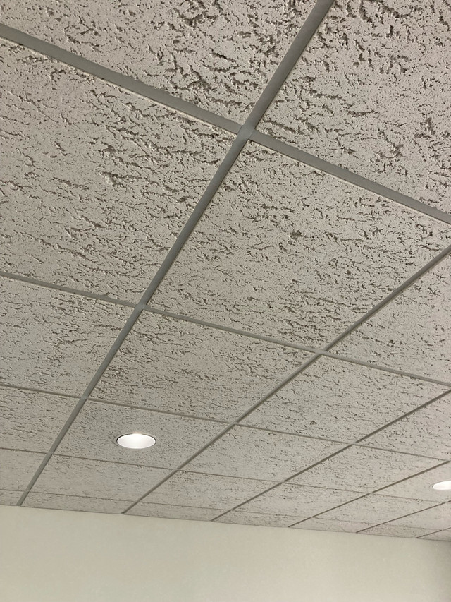 2x2 white textured acoustic ceiling tiles in Home Décor & Accents in Leamington - Image 2