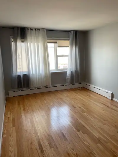 1 bedroom apartment