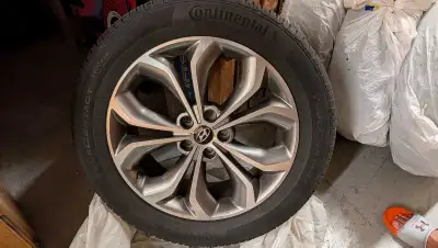 Set of 4 Hyundai OEM 19” Alloy Rims + Continental All-Season Tires – 235/55R19 Price: $950 OBO Selli...