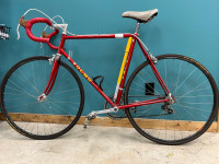 1981 Olmo Competition 12 Speed Road Bike