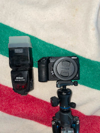 Nikon Z30+Nikkor 16-50mm lens and SB 900 flash. Cameron tripod