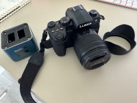 Panasonic Lumix G95 w/Battery and Charger
