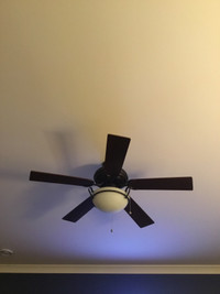 Ceiling fan. $50.