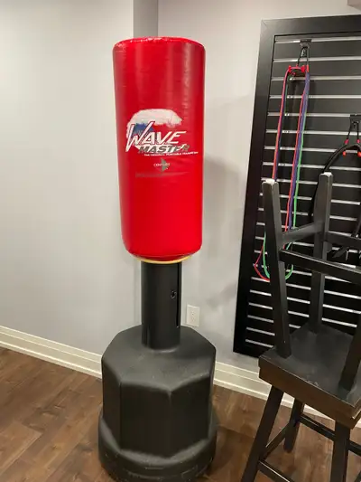 Century Wavemaster Punching bag, View more