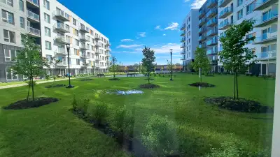 Condo locatif 5 1/2, 2,SDB, cit
