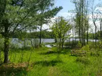 Waterfront Camping Lot - Free to Use - TAY1 - Summer 2024