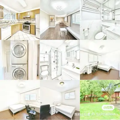 bungalow main floor unit 3+2