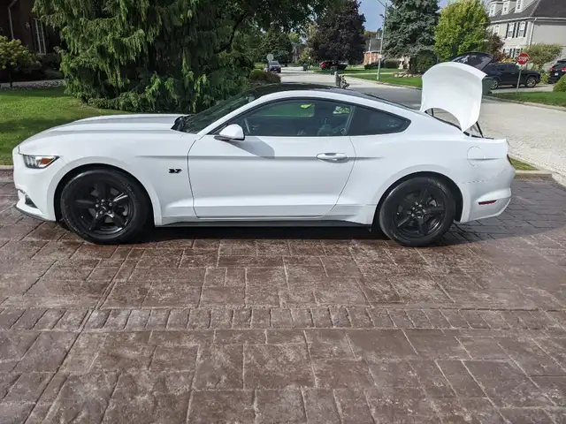 2017 MUSTANG EXCELLENT CONDITION580120386659297284
