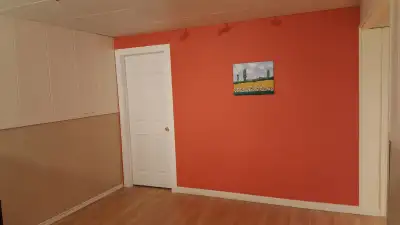 One bedroom for rent near University of Alberta (Student only))