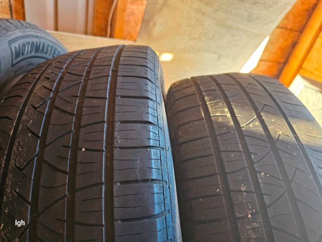 4 summer tires in Tires & Rims in Saint John - Image 2