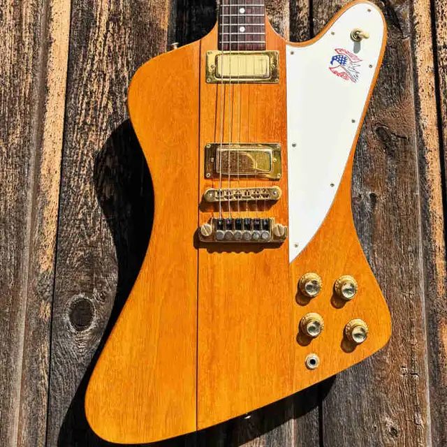 1976 Gibson Firebird Bicentennial in Guitars in Kawartha Lakes - Image 2