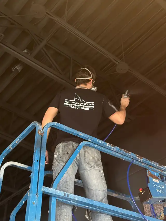 Affordable Painting Services - Black Star Construction (5⭐️)62863229020673123