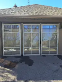 Sunroom or porch enclosure Windows