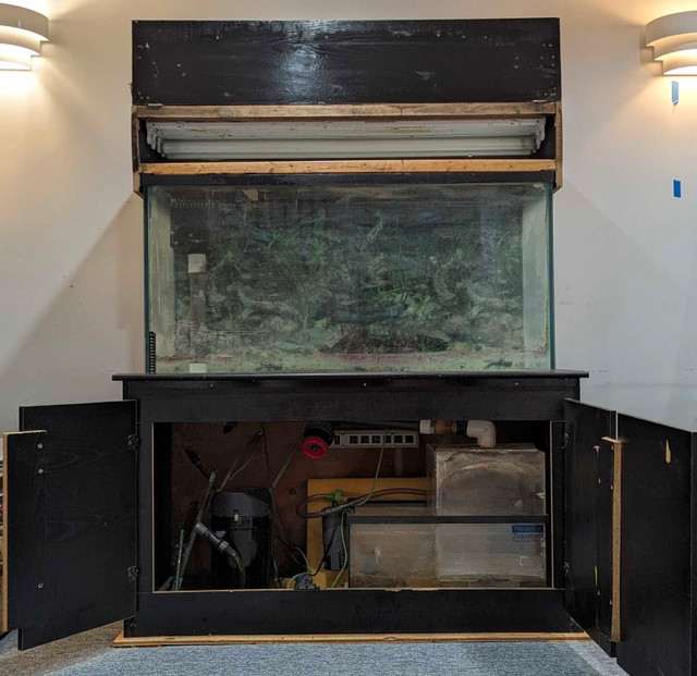 90 Gallon Sump Aquarium with Cabinet and Pump $300 in Other in Markham / York Region - Image 2