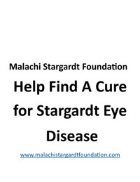 Non Profit Organization Malachi Stargardt Foundation
