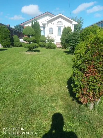 One bedroom basement for rent