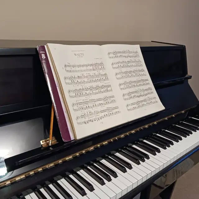 Piano and Beginner Violin Lessons