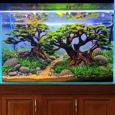 LOOKING FOR AQUARIUM SUPPLIES + FISH/SHRIMP!, View more