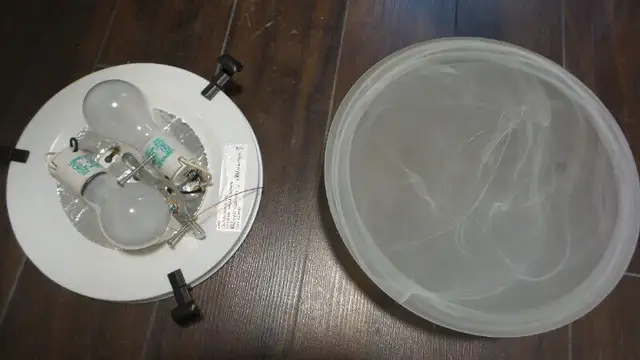 Ceiling Lights with 2 and 1 Bulbs