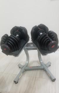 Bowflex 1090 adjustable dumbbells with stand