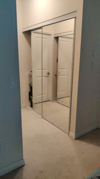 Closet/ wardrobe mirror sliding door
