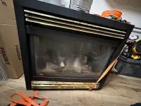 Napoleon gas fireplace 