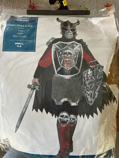 Knight costume comes with mask, cape, boot covers and tunic. No shield or sword. $20.