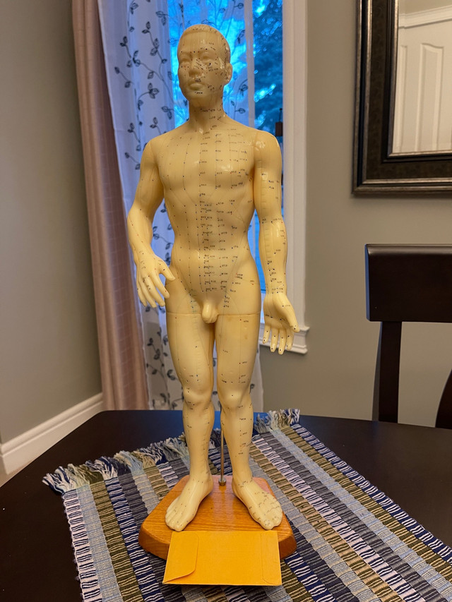 Acupuncture Model in Other in St. Albert