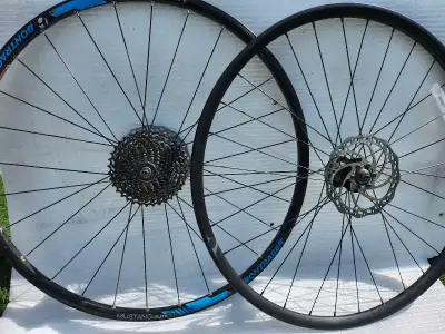 Bontrager 29 inch double walled rim front Back rim, View more