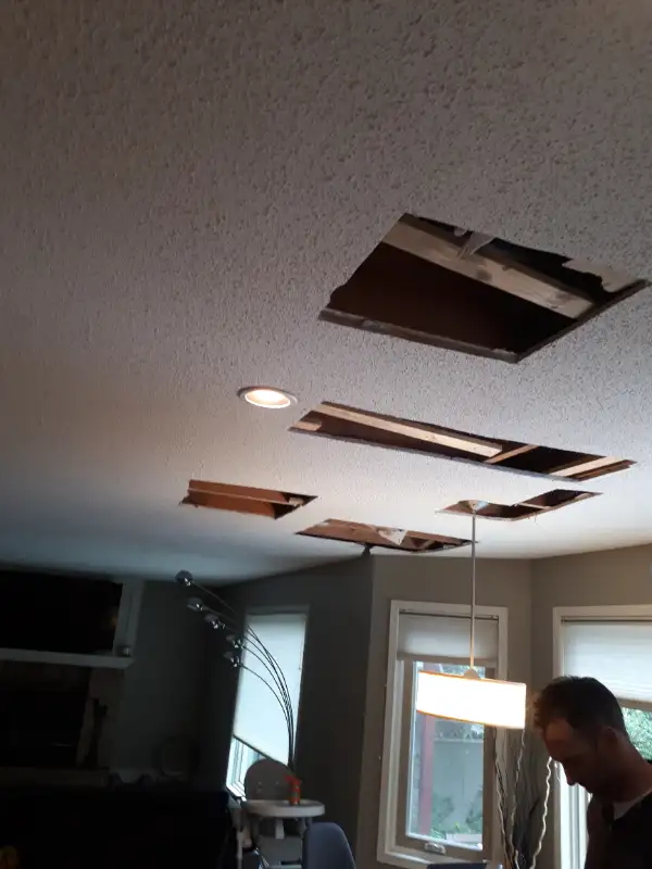 Repairs from POLYB removal/ Prepare for SELLING.63235482010755124