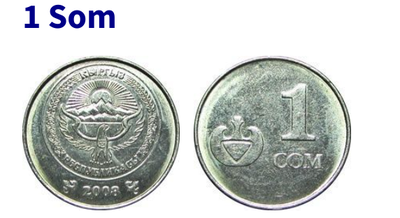 Kyrgyzstan Coin. 1 som, 2008  (rare coin), View more